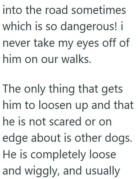 into the road sometimes which is so dangerous! i never take my eyes off of him on our walks. The only thing that gets him to loosen up and that he is not scared or on edge about is other dogs. He is completely loose and wiggly, and usually