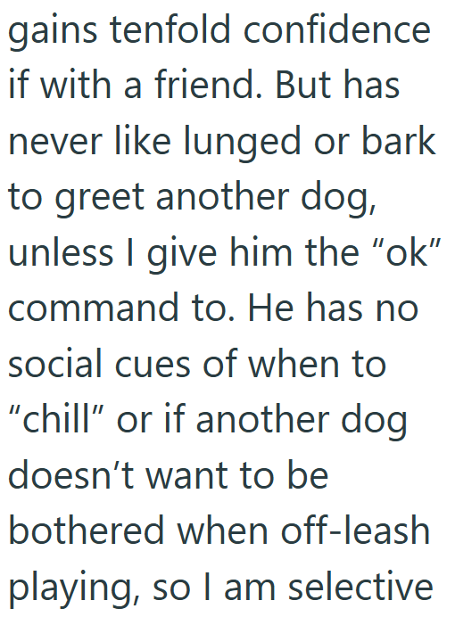 gains tenfold confidence if with a friend. But has never like lunged or bark to greet another dog, unless I give him the "ok" command to. He has no social cues of when to "chill" or if another dog doesn't want to be bothered when off-leash playing, so I am selective
