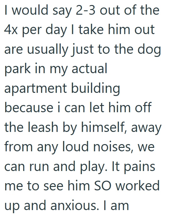I would say 2-3 out of the 4x per day I take him out are usually just to the dog park in my actual apartment building because i can let him off the leash by himself, away from any loud noises, we can run and play. It pains me to see him SO worked up and anxious. I am