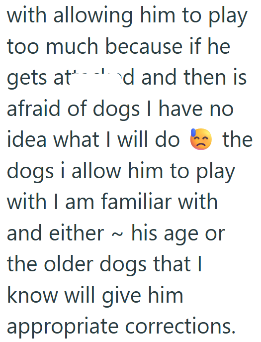 with allowing him to play too much because if he gets at d and then is afraid of dogs I have no idea what I will do the dogs i allow him to play with I am familiar with and either ~ his age or the older dogs that I know will give him appropriate corrections.