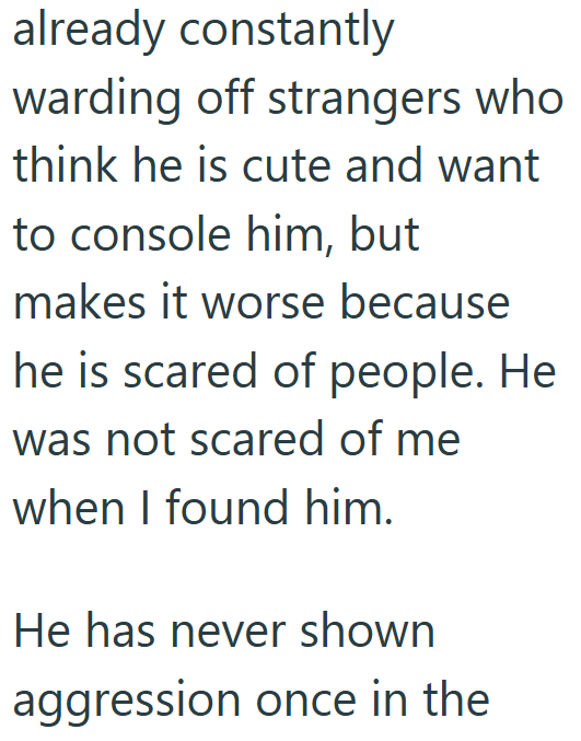 already constantly warding off strangers who think he is cute and want to console him, but makes it worse because he is scared of people. He was not scared of me when I found him. He has never shown aggression once in the