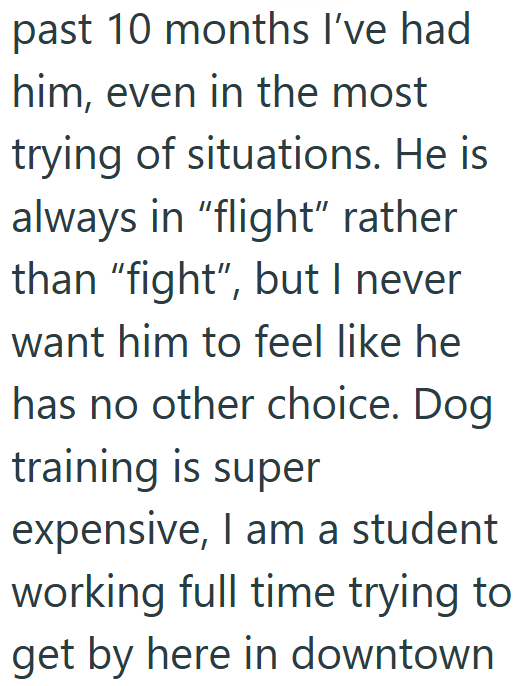 past 10 months I've had him, even in the most trying of situations. He is always in "flight" rather than “fight”, but I never want him to feel like he has no other choice. Dog training is super expensive, I am a student working full time trying to get by here in downtown