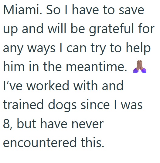 Miami. So I have to save up and will be grateful for any ways I can try to help him in the meantime. I've worked with and trained dogs since I was 8, but have never encountered this.