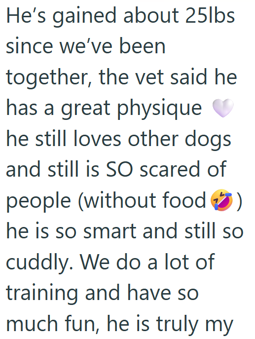He's gained about 25lbs since we've been together, the vet said he has a great physique he still loves other dogs and still is SO scared of people (without food >) he is so smart and still so cuddly. We do a lot of training and have so much fun, he is truly my
