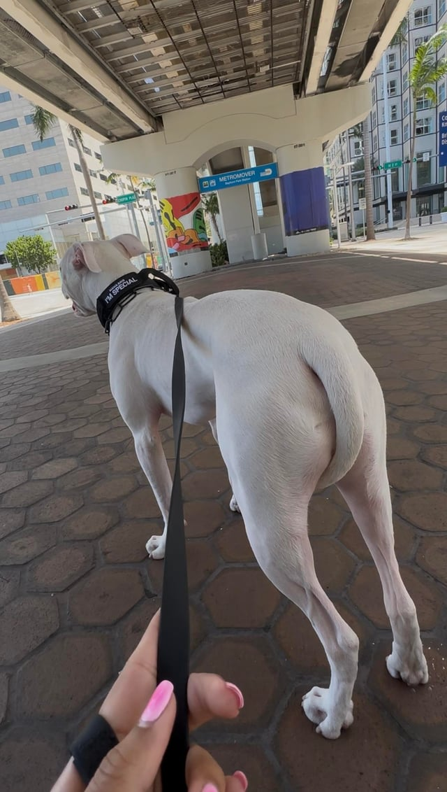 I'M SPECIAL METROMOVER