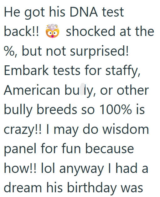 He got his DNA test back!! %, but not surprised! shocked at the Embark tests for staffy, American bu ly, or other bully breeds so 100% is crazy!! I may do wisdom panel for fun because how!! lol anyway I had a dream his birthday was