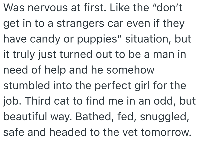 Was nervous at first. Like the "don't get in to a strangers car even if they have candy or puppies" situation, but it truly just turned out to be a man in need of help and he somehow stumbled into the perfect girl for the job. Third cat to find me in an odd, but beautiful way. Bathed, fed, snuggled, safe and headed to the vet tomorrow.