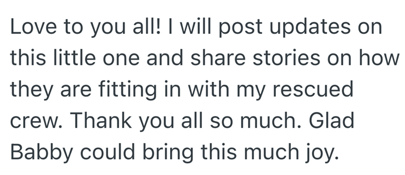 Love to you all! I will post updates on this little one and share stories on how they are fitting in with my rescued crew. Thank you all so much. Glad Babby could bring this much joy.