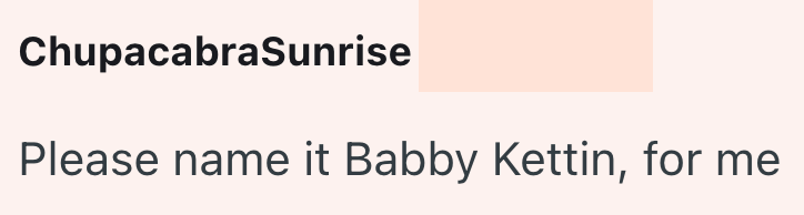 ChupacabraSunrise Please name it Babby Kettin, for me