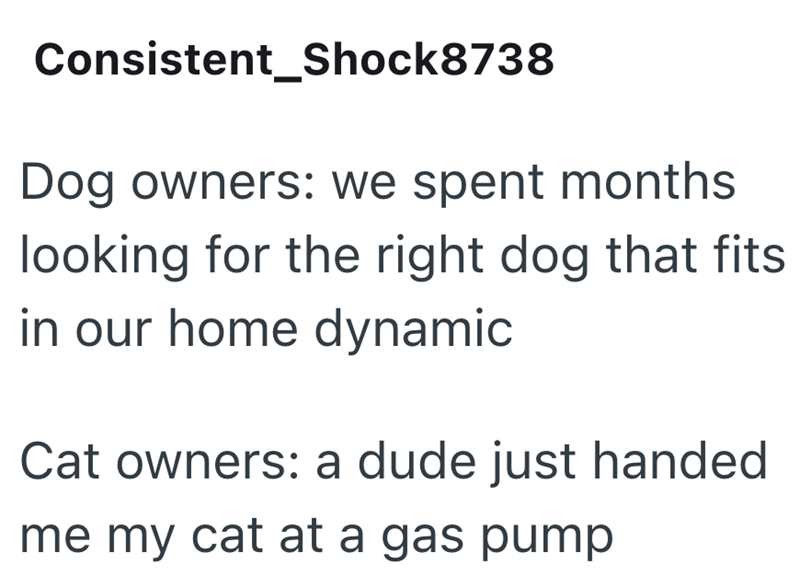 Consistent_Shock8738 Dog owners: we spent months looking for the right dog that fits in our home dynamic Cat owners: a dude just handed me my cat at a gas pump