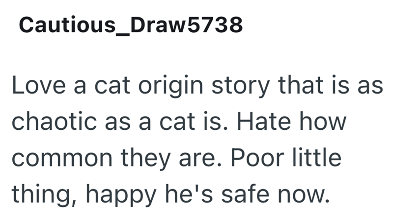 Cautious_Draw5738 Love a cat origin story that is as chaotic as a cat is. Hate how common they are. Poor little thing, happy he's safe now.