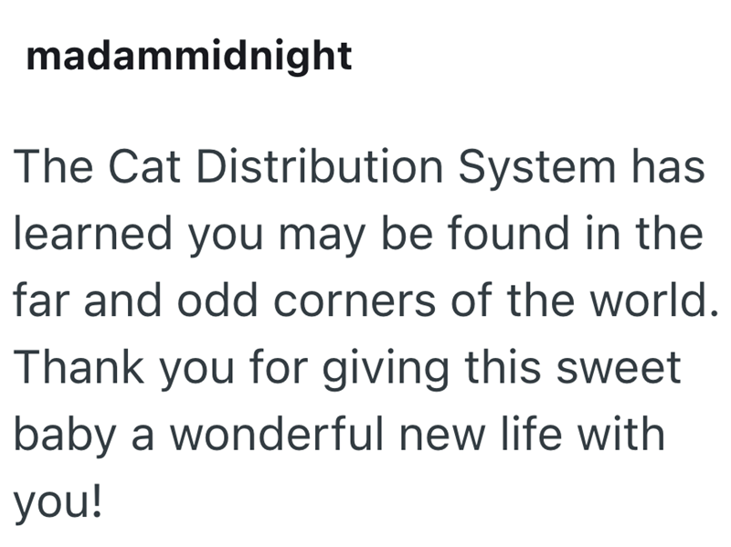 madammidnight The Cat Distribution System has learned you may be found in the far and odd corners of the world. Thank you for giving this sweet baby a wonderful new life with you!
