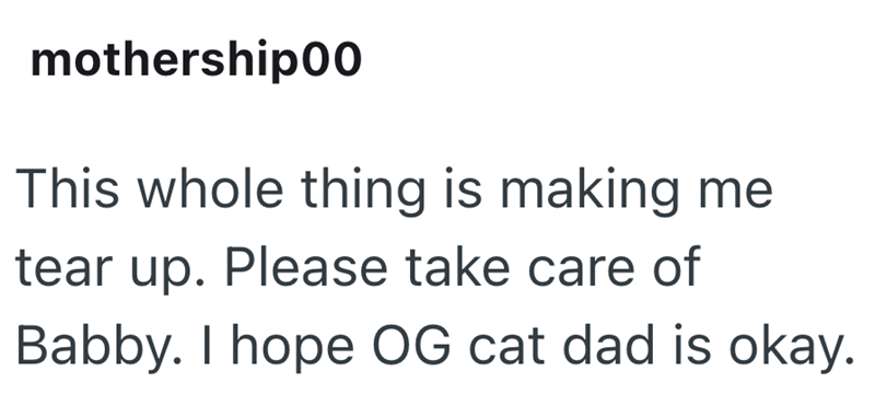 mothership00 This whole thing is making me tear up. Please take care of Babby. I hope OG cat dad is okay.