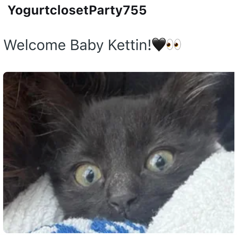 YogurtclosetParty755 Welcome Baby Kettin!❤00