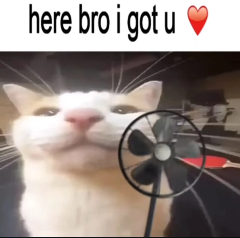 here bro i got u