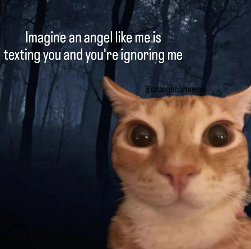 Imagine an angel like me is texting you and you're ignoring me Gorangecarmeme