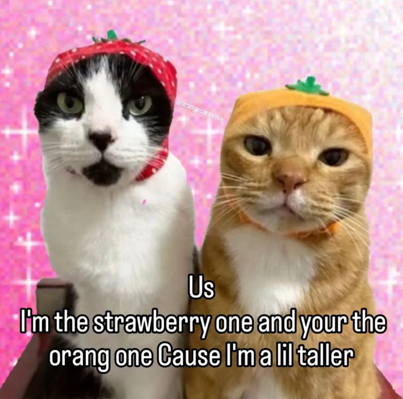 Borange car meme Us I'm the strawberry one and your the orang one Cause I'm a lil taller