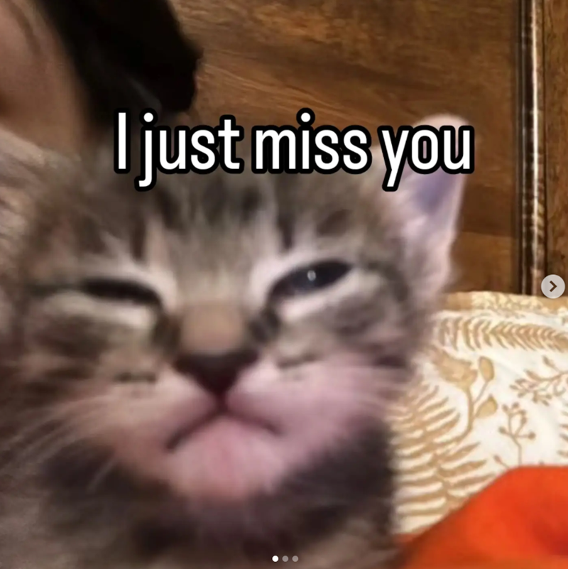 I just miss you >