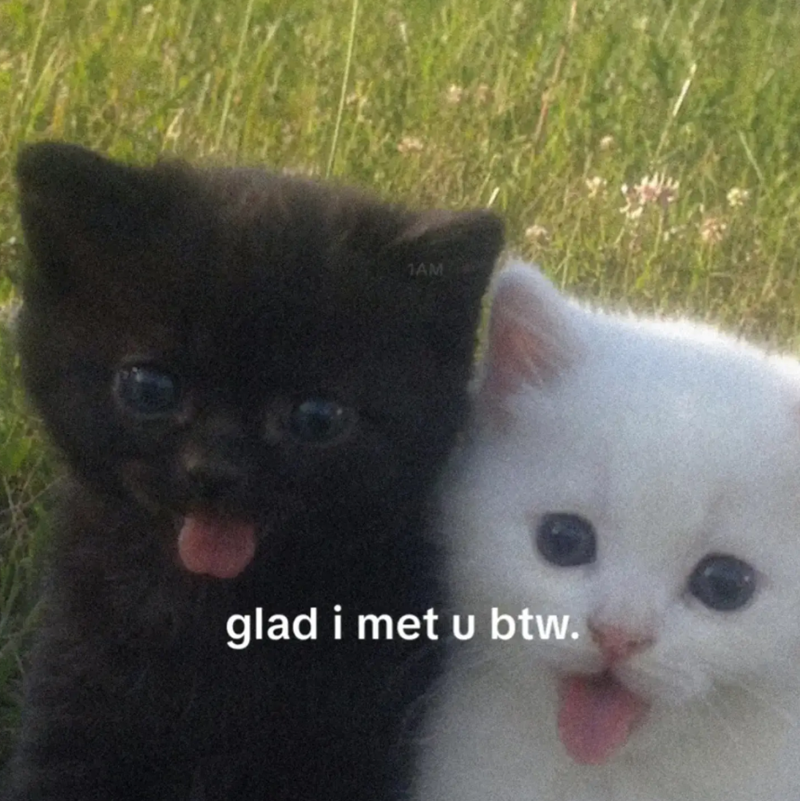 1AM glad i met u btw.