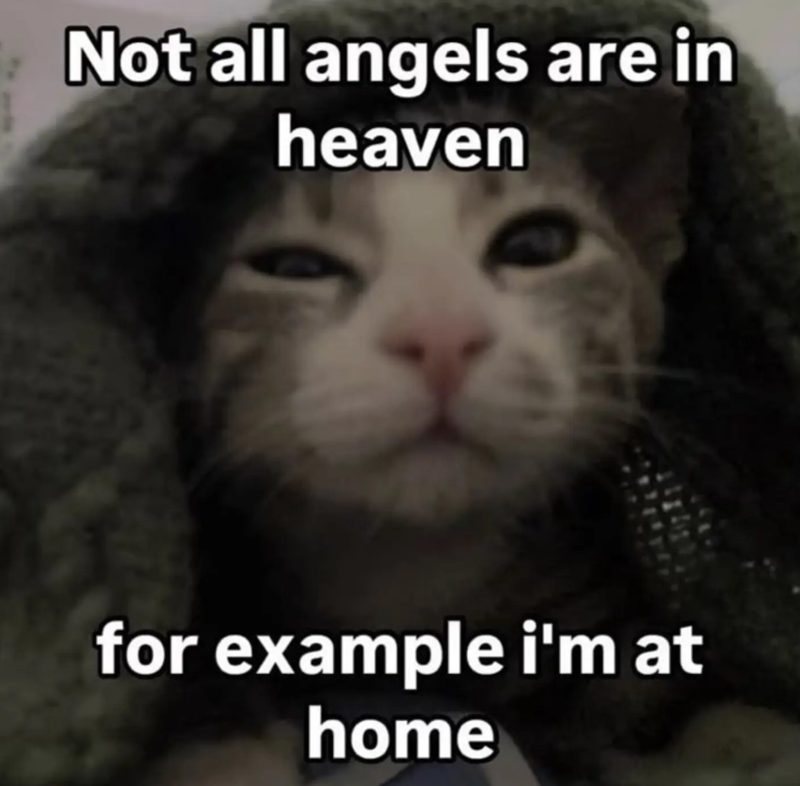 Not all angels are in heaven for example i'm at home