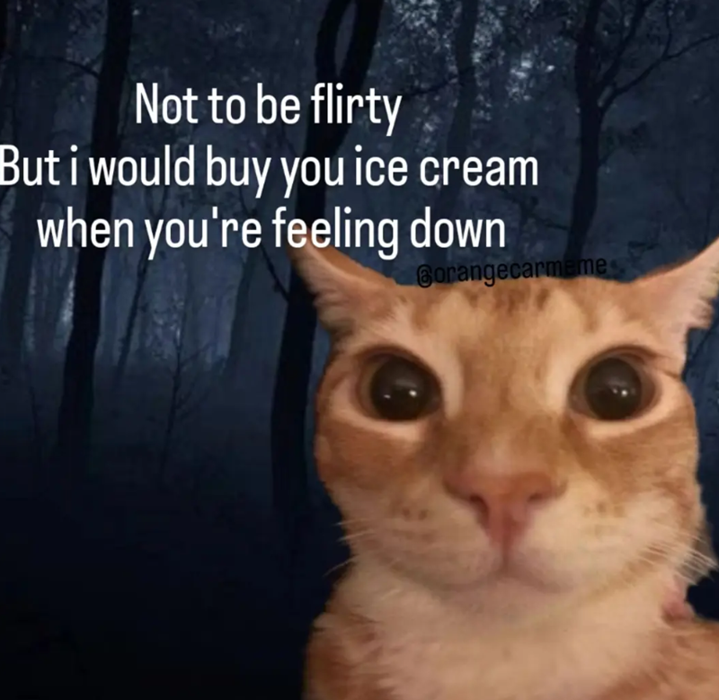 Not to be flirty But i would buy you ice cream when you're feeling down Borangecarmeme
