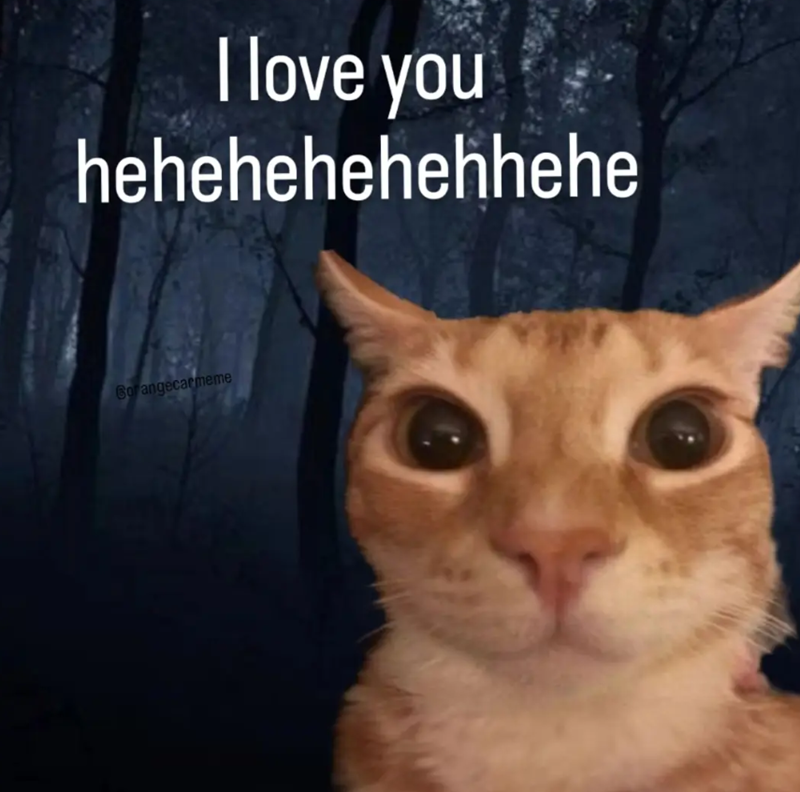 I love you hehehehehehhehe Gorangecarmeme