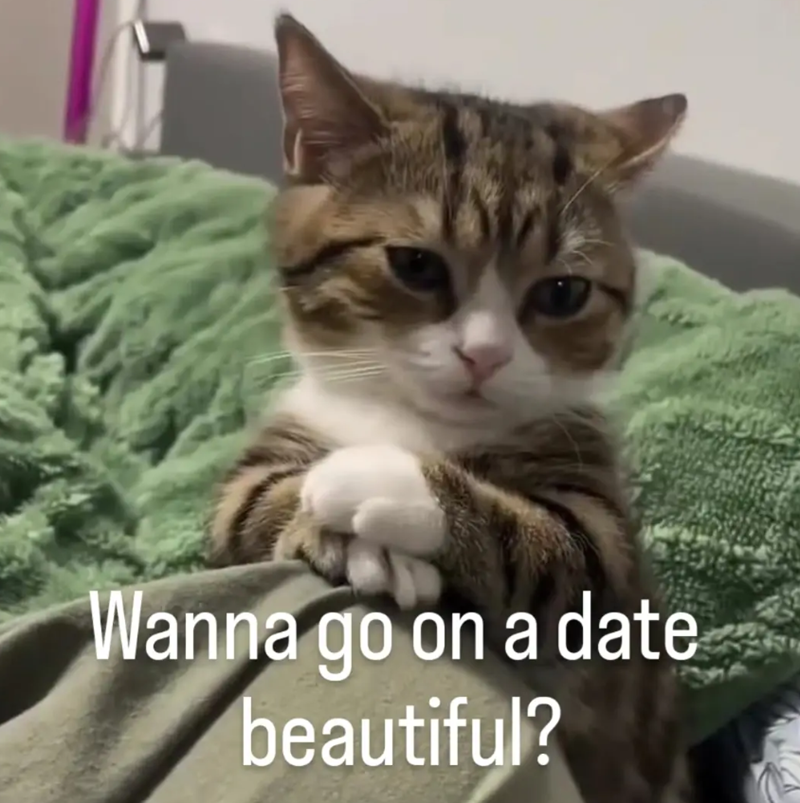 Wanna go on a date beautiful?