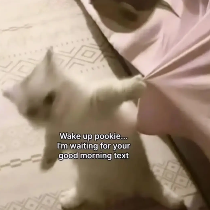 Wake up pookie... I'm waiting for your good morning text --