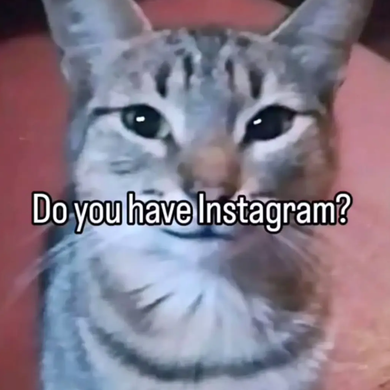Do you have Instagram?