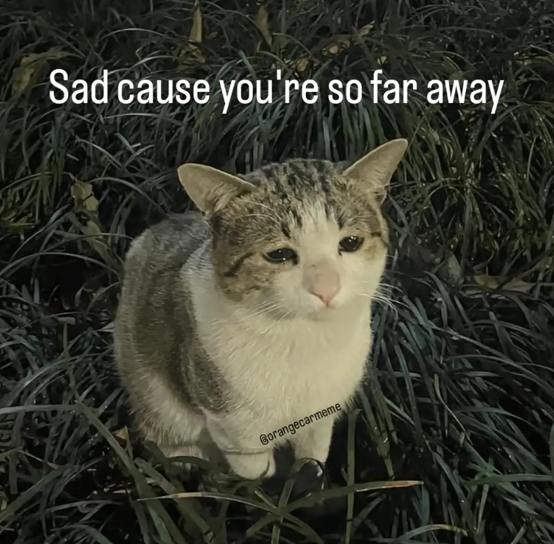 Sad cause you're so far away Gorangecarmeme