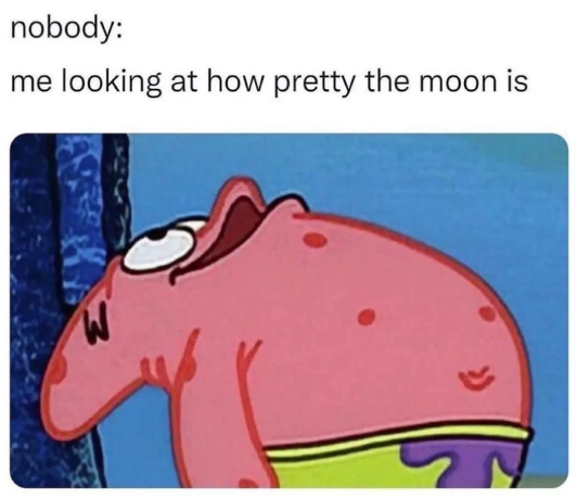 nobody: me looking at how pretty the moon is