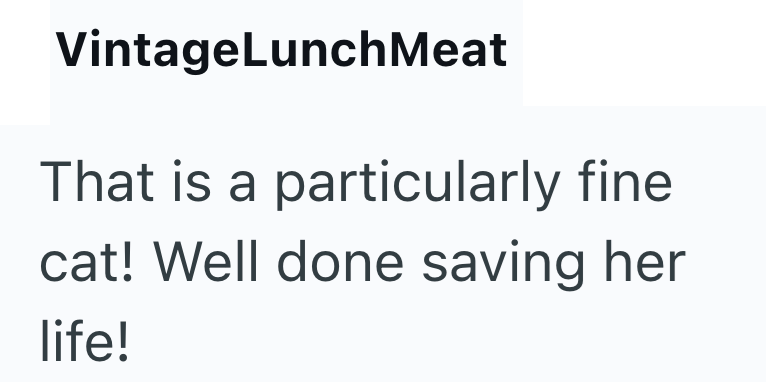 VintageLunch Meat That is a particularly fine cat! Well done saving her life!