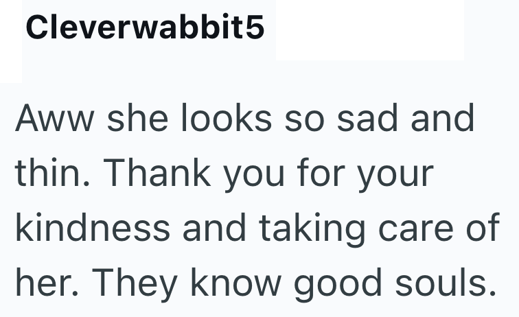 Cleverwabbit5 Aww she looks so sad and thin. Thank you for your kindness and taking care of her. They know good souls.