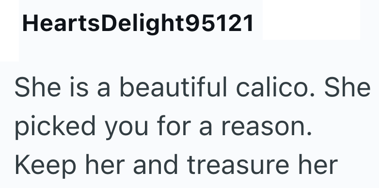 HeartsDelight95121 She is a beautiful calico. She picked you for a reason. Keep her and treasure her