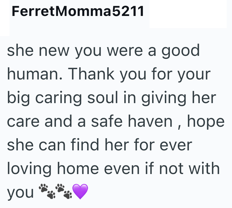 FerretMomma5211 she new you were a good human. Thank you for your big caring soul in giving her care and a safe haven, hope she can find her for ever loving home even if not with you