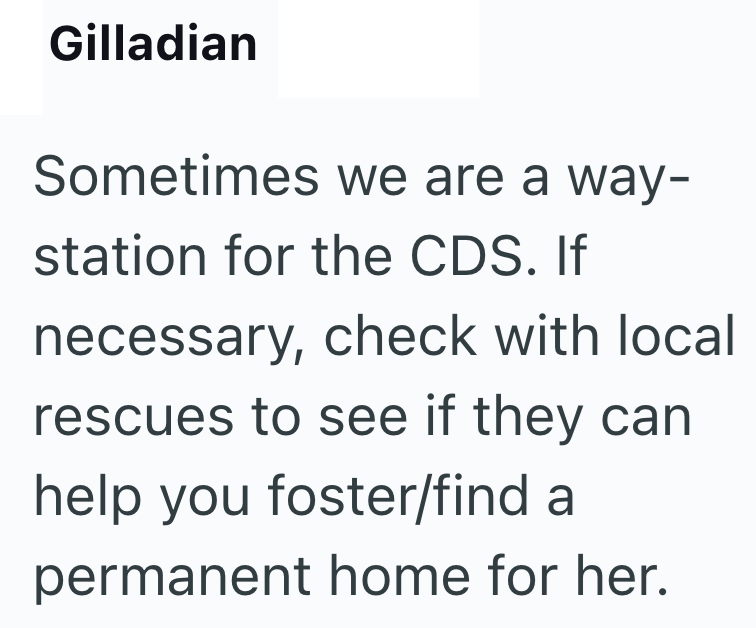 Gilladian Sometimes we are a way- station for the CDS. If necessary, check with local rescues to see if they can help you foster/find a permanent home for her.