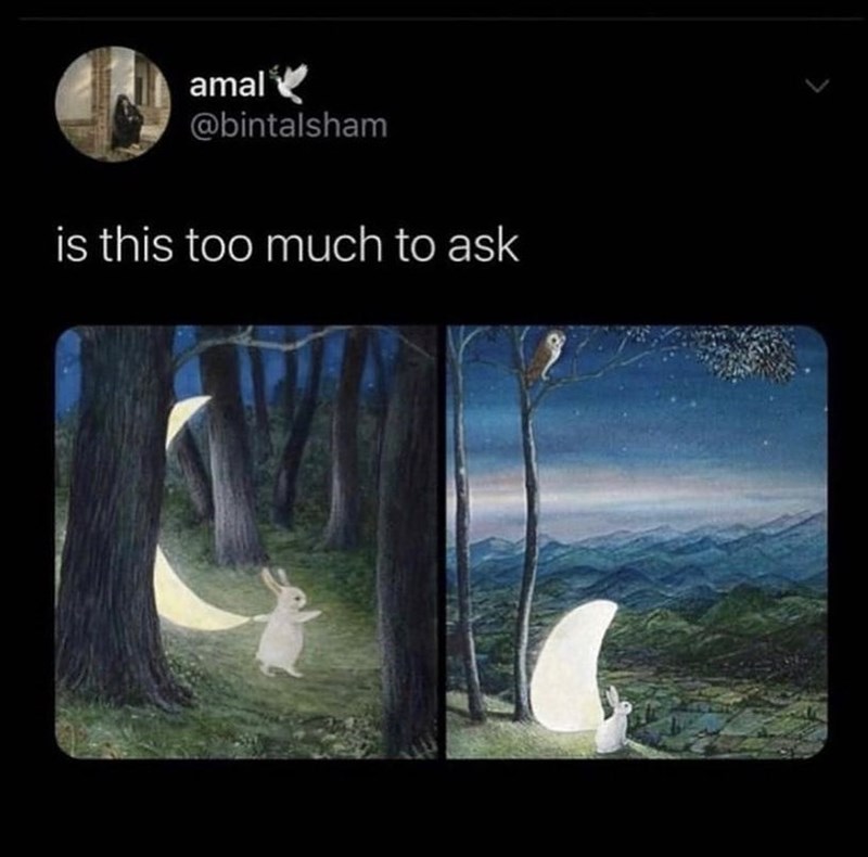 amal @bintalsham is this too much to ask