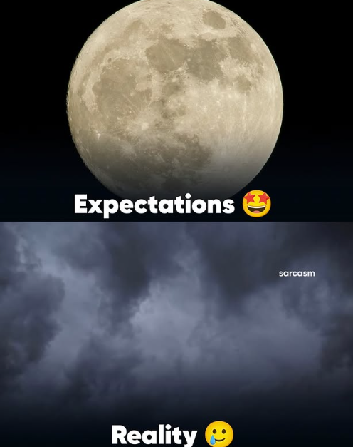 Expectations Reality sarcasm