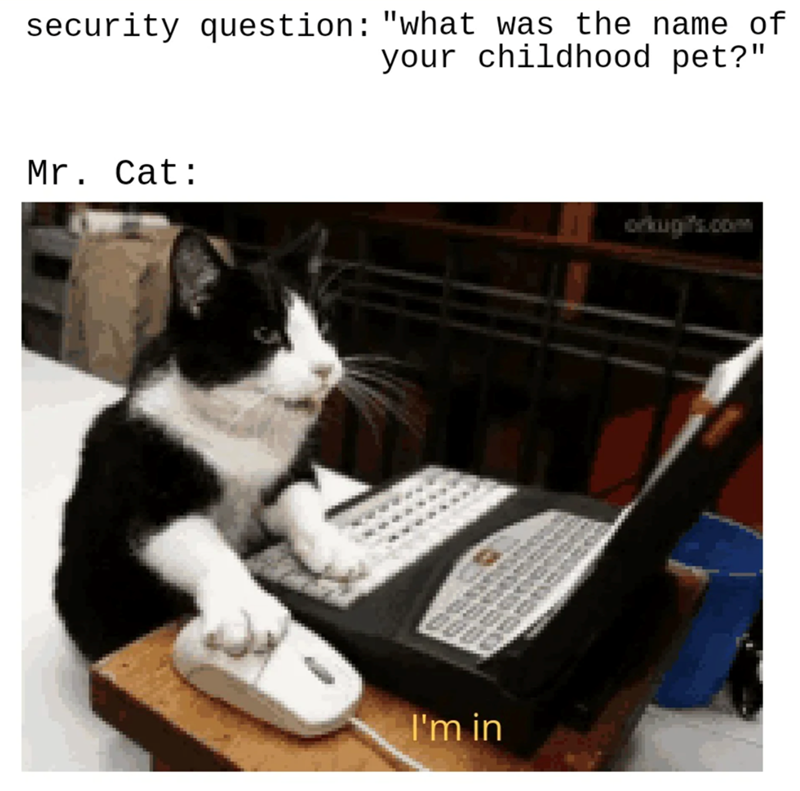 security question: "what was the name of Mr. Cat: your childhood pet?" I'm in orkugifs.com