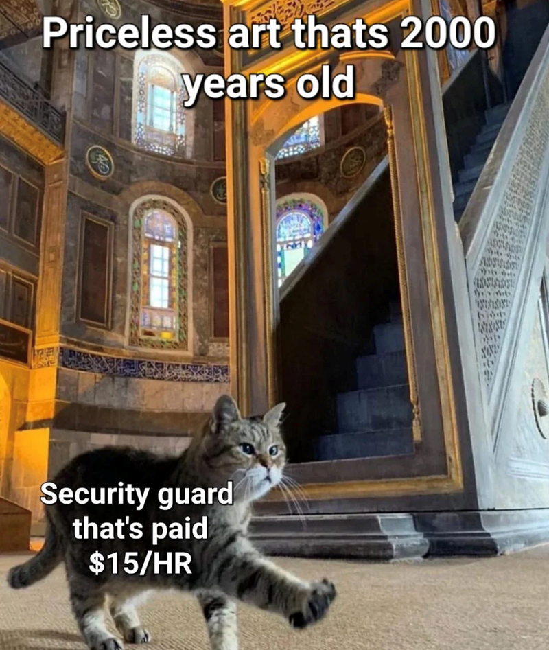 6297 27 Priceless art thats 2000 years old Security guard that's paid $15/HR NINISON 中