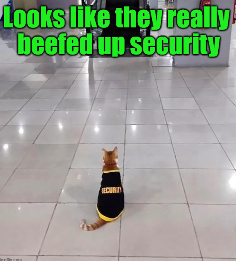 Looks like they really beefed up security imaflin.com SECURITY