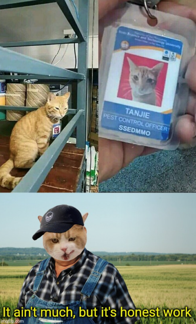 Leversty TANJIE PEST CONTROL OFFICER SSEDMMO It ain't much, but it's honest work imgflip.com