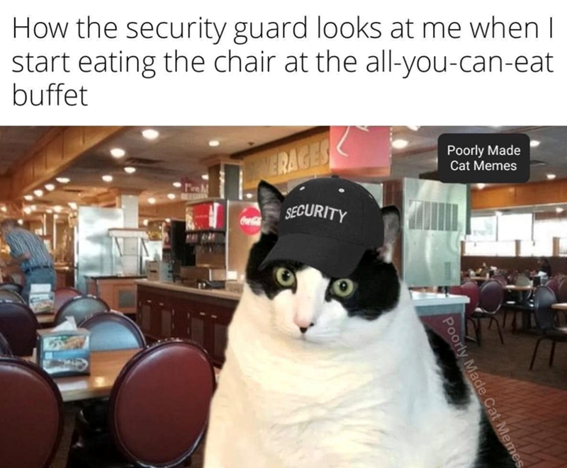 How the security guard looks at me when I start eating the chair at the all-you-can-eat buffet Coca-Cola ERAGES SECURITY Poorly Made Cat Memes Made Memes