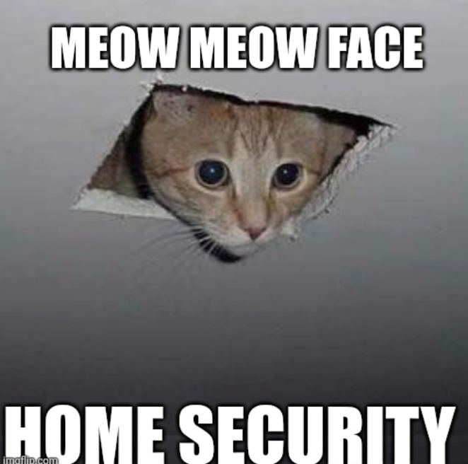 MEOW MEOW FACE HOME SECURITY imaflip.com