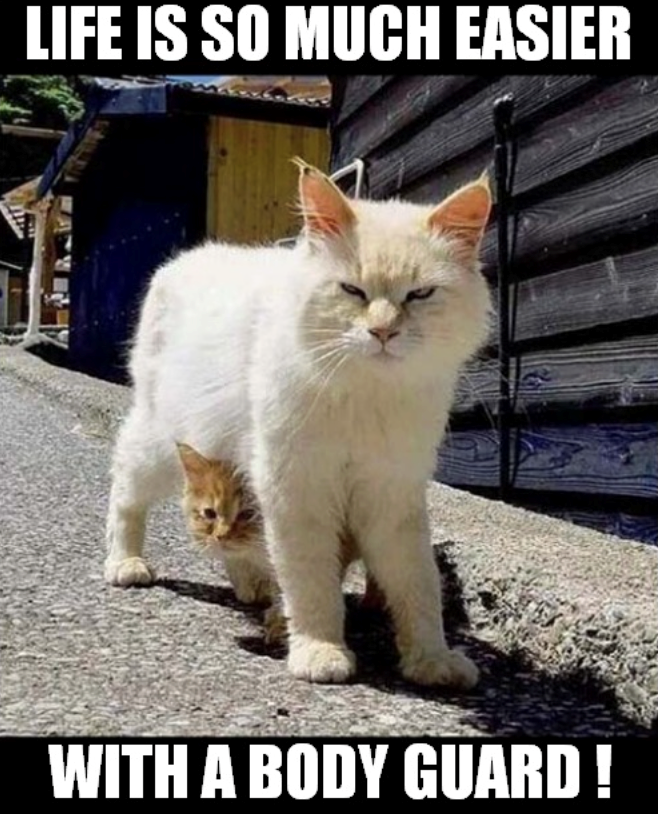 LIFE IS SO MUCH EASIER WITH A BODY GUARD!