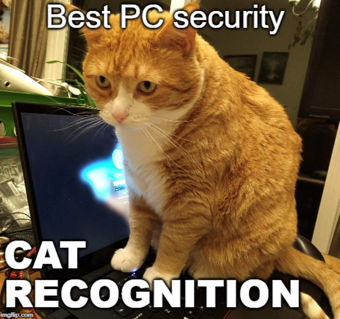 Best PC security CAT RECOGNITION imgflip.com
