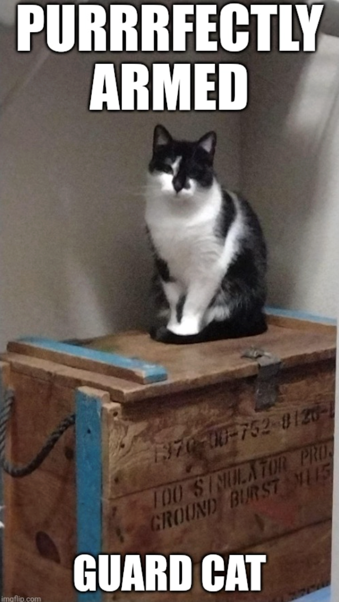 PURRRFECTLY ARMED imaflip.com 1370-00-752-8120- 100 SIMULATOR PRO GROUND BURST LIS GUARD CAT