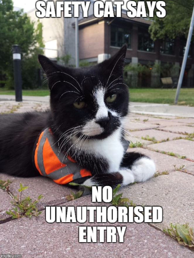 imgilp.com SAFETY CAT SAYS NO UNAUTHORISED ENTRY
