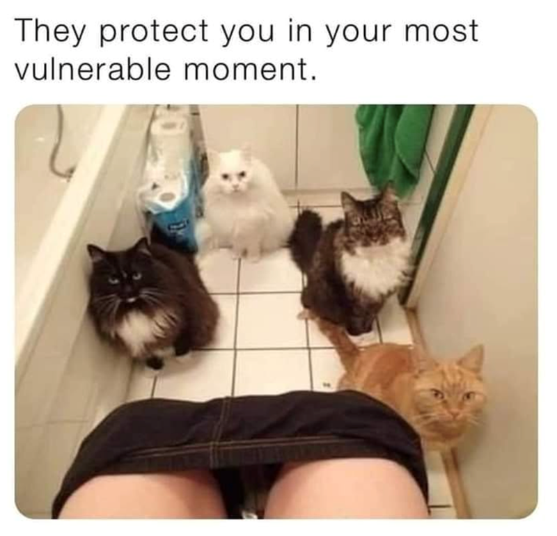 They protect you in your most vulnerable moment.