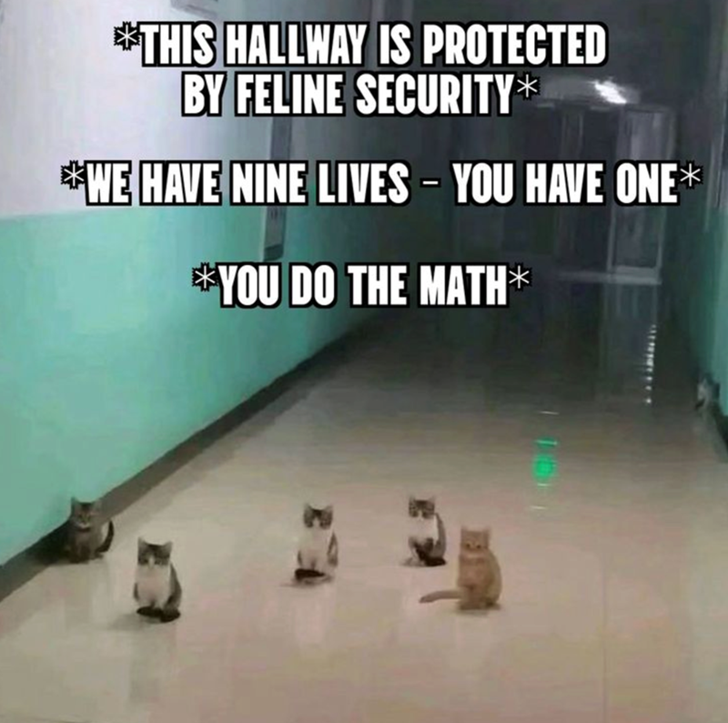*THIS HALLWAY IS PROTECTED BY FELINE SECURITY* *WE HAVE NINE LIVES - YOU HAVE ONE✶ *YOU DO THE MATH✶
